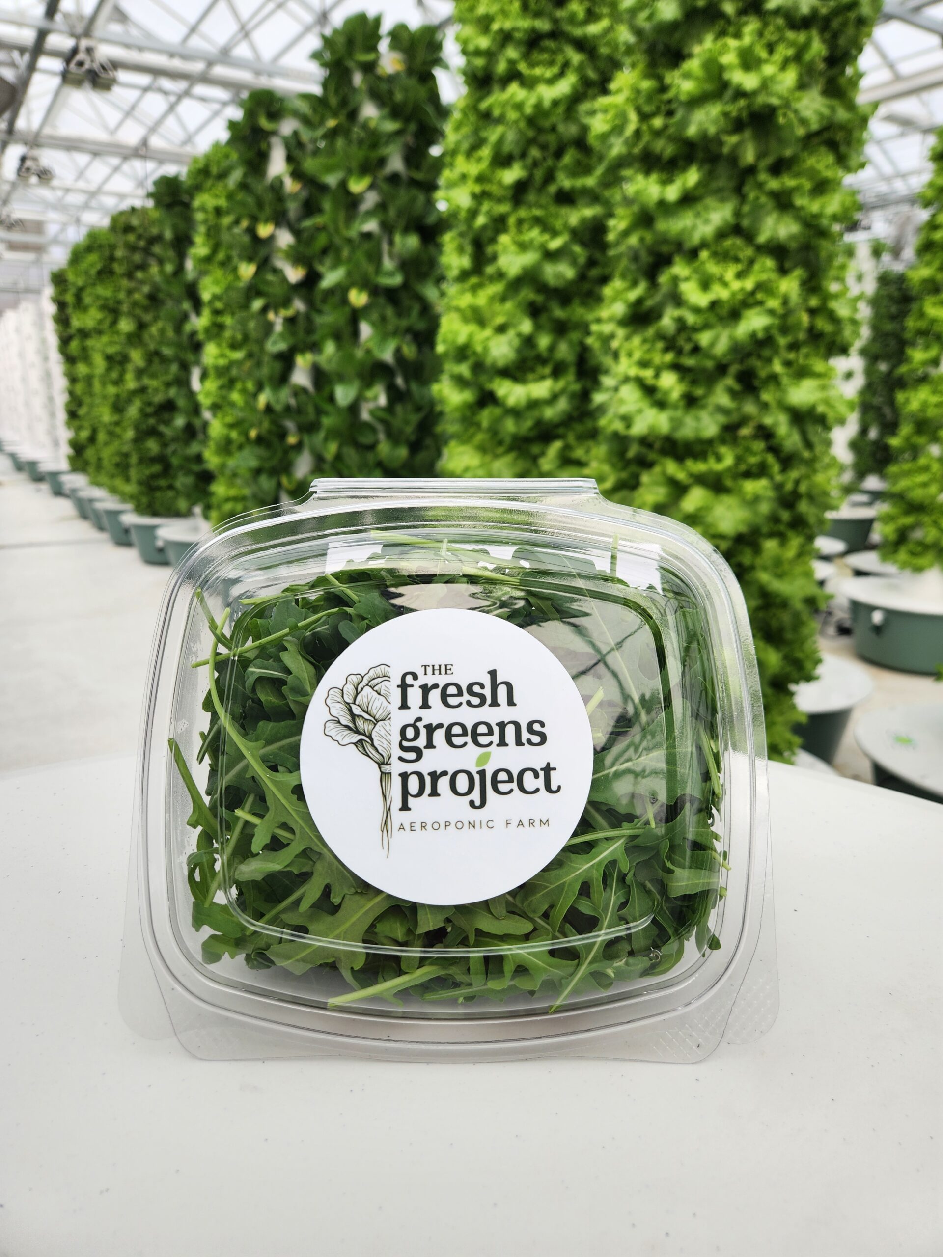 Wild Arugula (4 oz Clamshell)