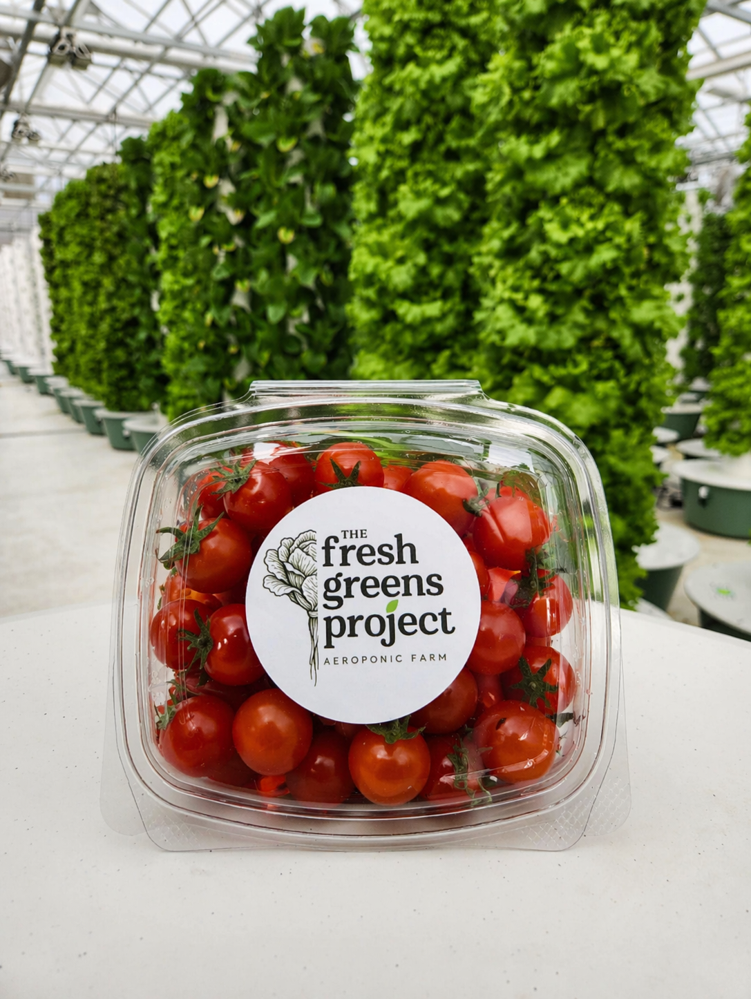 Clamshell container filled with fresh cherry tomatoes on a white surface in a bright greenhouse with vertical growing towers in the background.